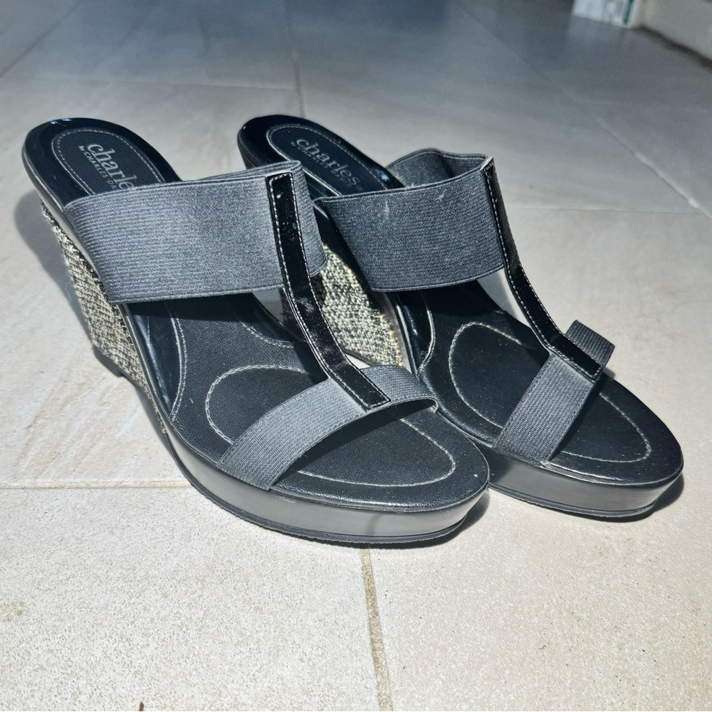 Charles by Charles David Women’s Black Espadrille Wedge Stretch Strap Sandals